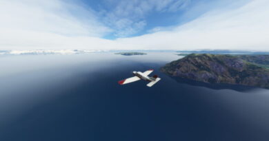 Руководство Microsoft Flight Simulator - Основные советы для каждого полета