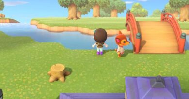 Animal Crossing New Horizons Лучшие мосты