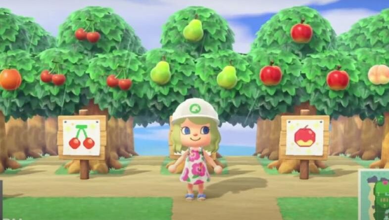 Animal Crossing New Horizons Лучшие схемы фруктовых садов