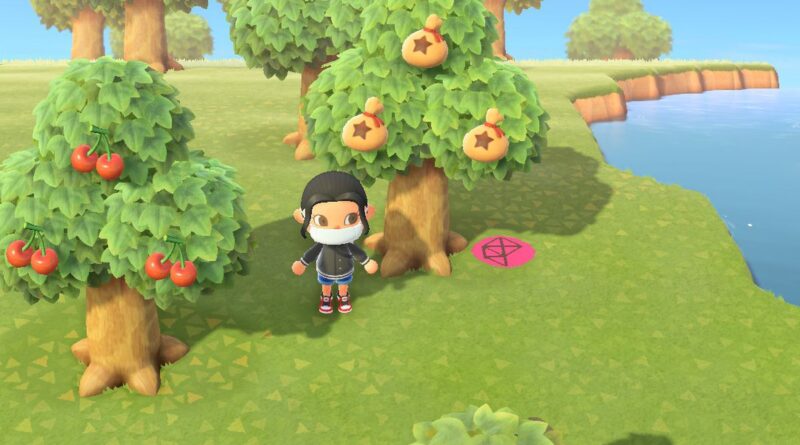 Animal Crossing New Horizons Как сажать яблоки