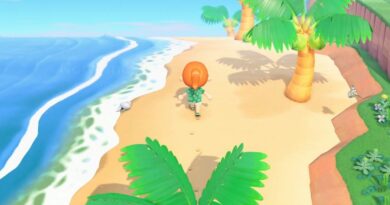 Animal Crossing New Horizons Как посадить кокосовую пальму