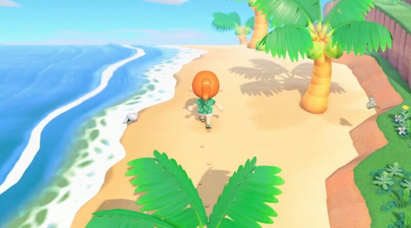 Animal Crossing New Horizons Как посадить кокосовую пальму