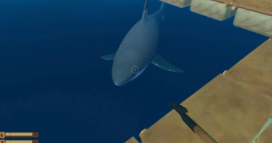 Плот: как использовать наживку для акул