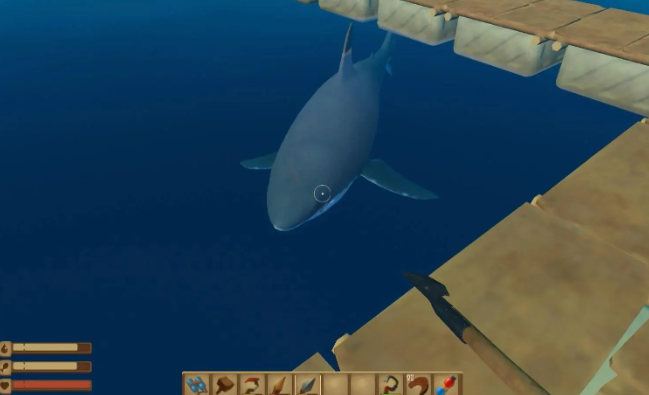 Плот: как использовать наживку для акул