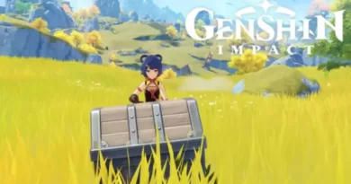 Genshin Impact: скрытые сундуки, которые вы могли пропустить