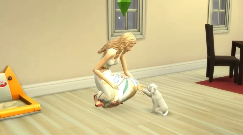 Sims 4: Как дрессировать собак (сидеть, говорить, пожимать руку и многое другое)
