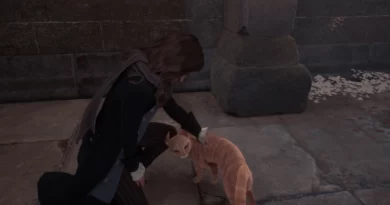 Что произойдет, если вы используете Депульсо на кошках в «Наследии Хогвартса»?