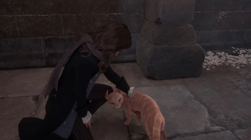 Что произойдет, если вы используете Депульсо на кошках в «Наследии Хогвартса»?