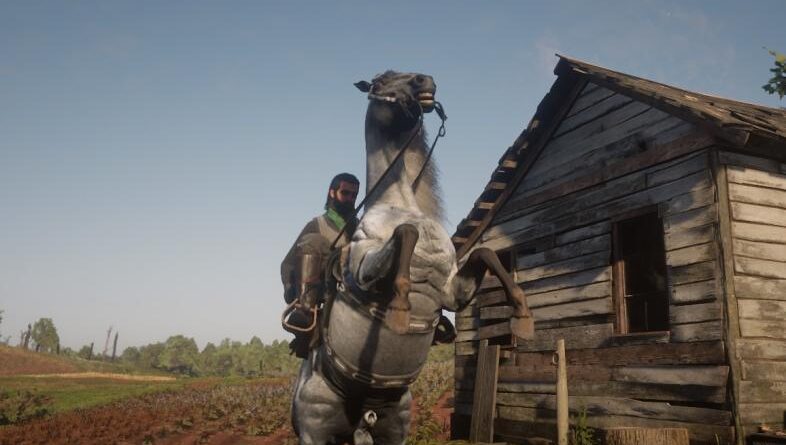 11 лучших лошадей в Red Dead Online (и как их получить)