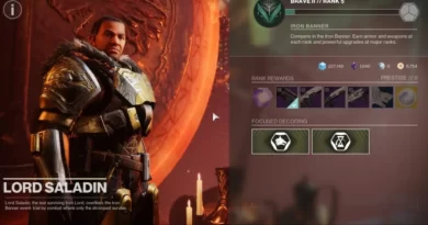 Все, что вам нужно знать о Железном знамени в Destiny 2