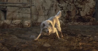 Сможете ли вы спасти собаку в ремейке Resident Evil 4?