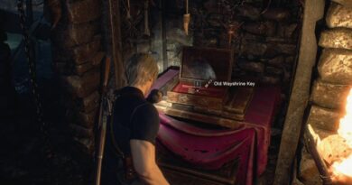 Ремейк Resident Evil 4: где найти ключ от старого дорожного святилища