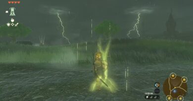 Как получить сопротивление молнии в Zelda Tears of the Kingdom