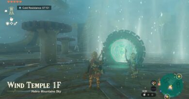 Как решить головоломки с замками Храма Ветра — Zelda: Tears of the Kingdom