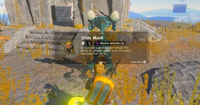 Zelda Tears of the Kingdom: как получить маску Glide