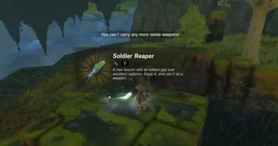 Zelda Tears of the Kingdom: как получить Soldier Reaper