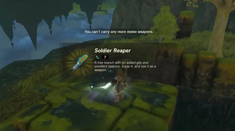 Zelda Tears of the Kingdom: как получить Soldier Reaper