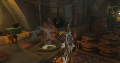 Zelda Tears of the Kingdom: Полное руководство по кулинарии