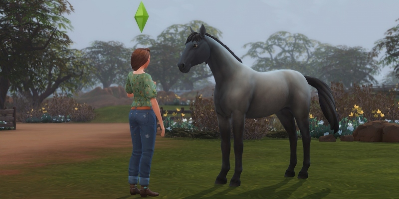 Как получить лошадь в The Sims 4: Horse Ranch