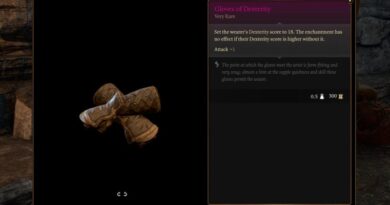 Как получить Перчатки ловкости в Baldur’s Gate 3